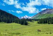 那拉提国家森林公园景点图片