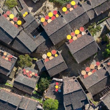 安徽黄山风景区+婺源篁岭景区+宏村景区+屯溪老街5日4晚跟团游