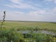 南大港湿地-黄骅