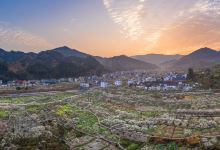 九峰镇花海景点图片