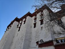 布达拉宫白宫-拉萨-BetTerDAY