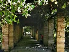 国家花园-雅典-Jingbsuomi