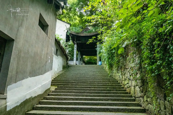河坊街是杭州比较繁华的地方,深处却有人迹寥寥的小巷,风景幽然