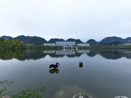 天鹅湖人民公园