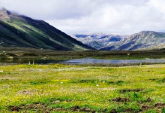 扎日拥康神山景点图片