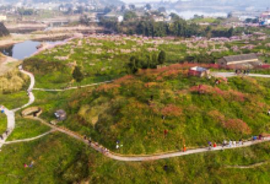 花山公园景点图片