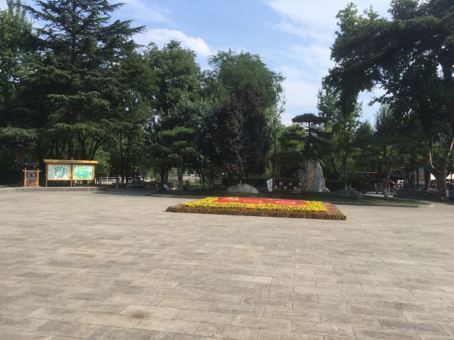 莲湖公园旅行图片 2