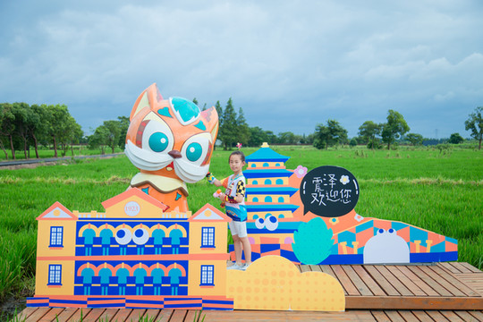 这个暑假做个小丝商,去震泽古镇研学寻宝,时光静好