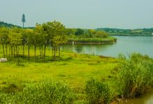 马踏湖国家湿地公园景点图片