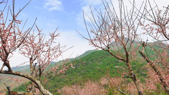廣東樑化國家森林公園