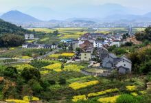 阳山畈景区景点图片