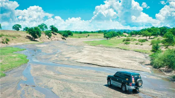 雲慢疏林大草原度假區