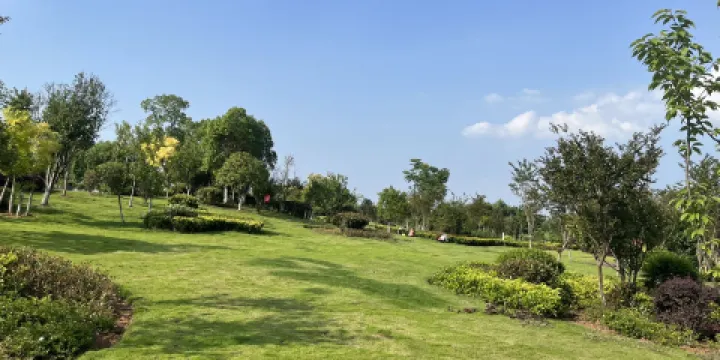 碧桂園濕地公園