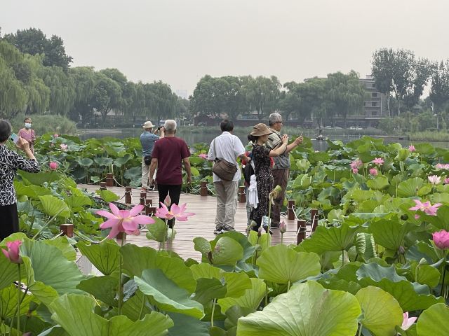 西海旅行图片 1