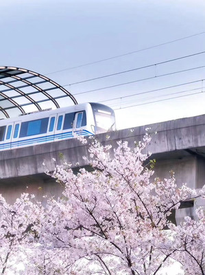 宁波3月最全赏樱攻略,承包整个春天的浪漫,赶紧收藏