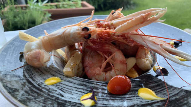 Trefor Cafe Ristorante餐厅图片