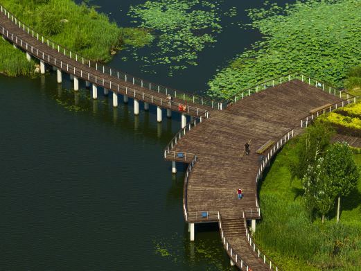 南溪湿地公园