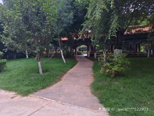 易门县南屯湖生态旅游园二期公园