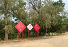 红坛寺森林公园景点图片