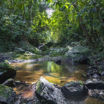 海口+五指山5日4晚跟团游