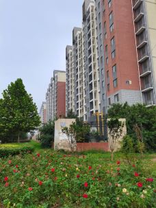 密云奥林匹克公园-北京-金多多du