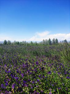 循化旅游区-循化-12897408