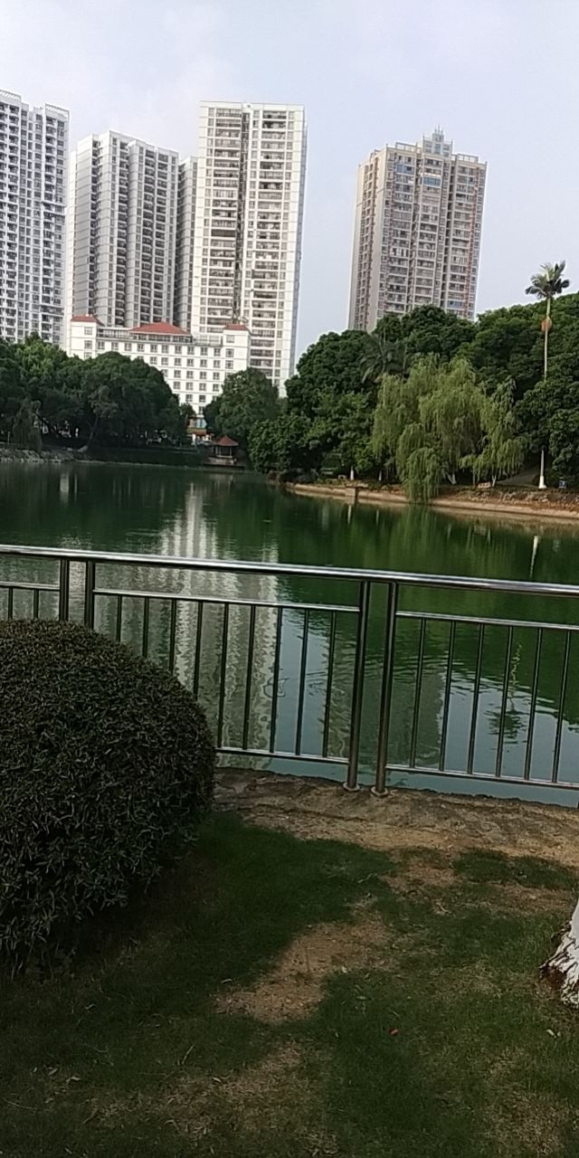 百色人民公园旅行图片 1