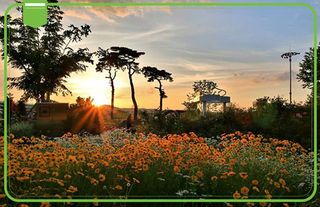 看落日余晖，吹温柔晚风——大邱最佳日落观赏地