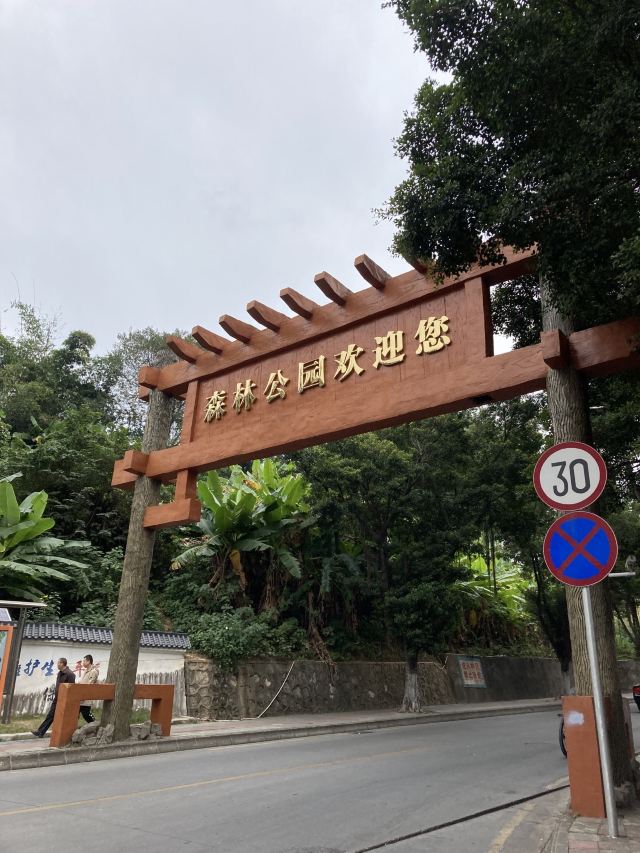 韶关国家森林公园旅行图片 1