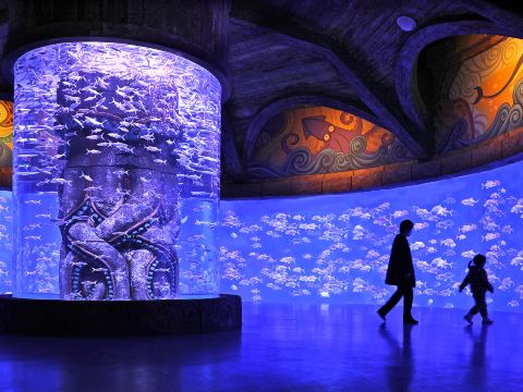 Gallery 1