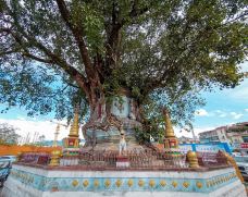 树包塔-芒市-肥肥安大王