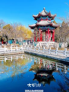 大明湖景区-济南-青岛大胡子斑马