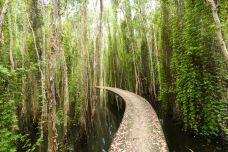 红树林生态保护区-兰卡威