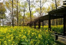 林州天平山风景区-林州-一杯清茶看春秋！