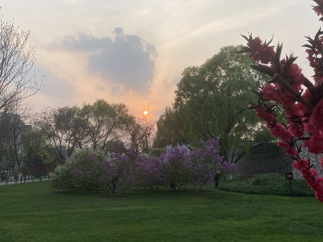 北京东单公园游玩攻略简介,北京东单公园门票/地址/图片/开放时间/照片/门票价格【携程攻略】