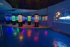 苏州海洋馆-苏州-C-IMAGE