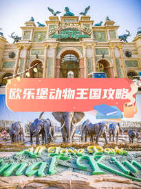 齐河游记图片] 2022年济南端午节近郊游亲子游欧乐堡动物王国打卡攻略