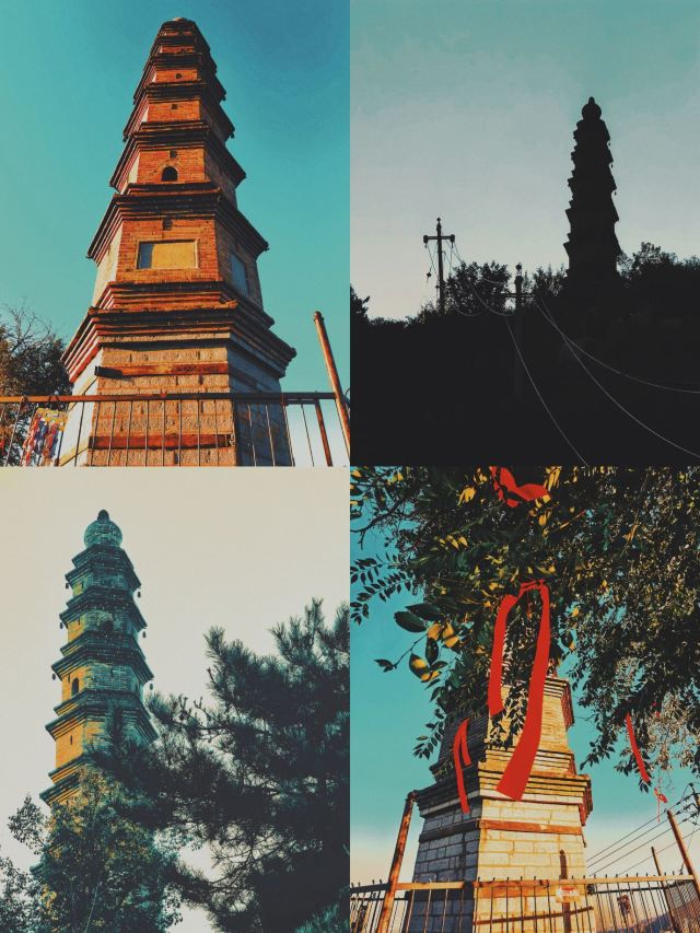 崛围山旅行图片 5