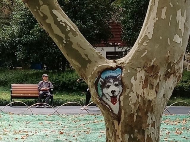 闸北公园旅行图片 2
