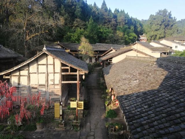 柏林湖国家湿地公园旅行图片 4