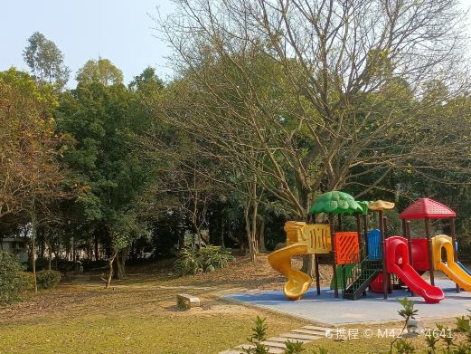 滴水岩森林公园