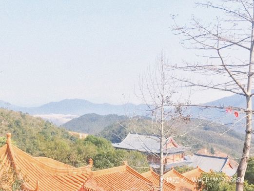 云莲寺