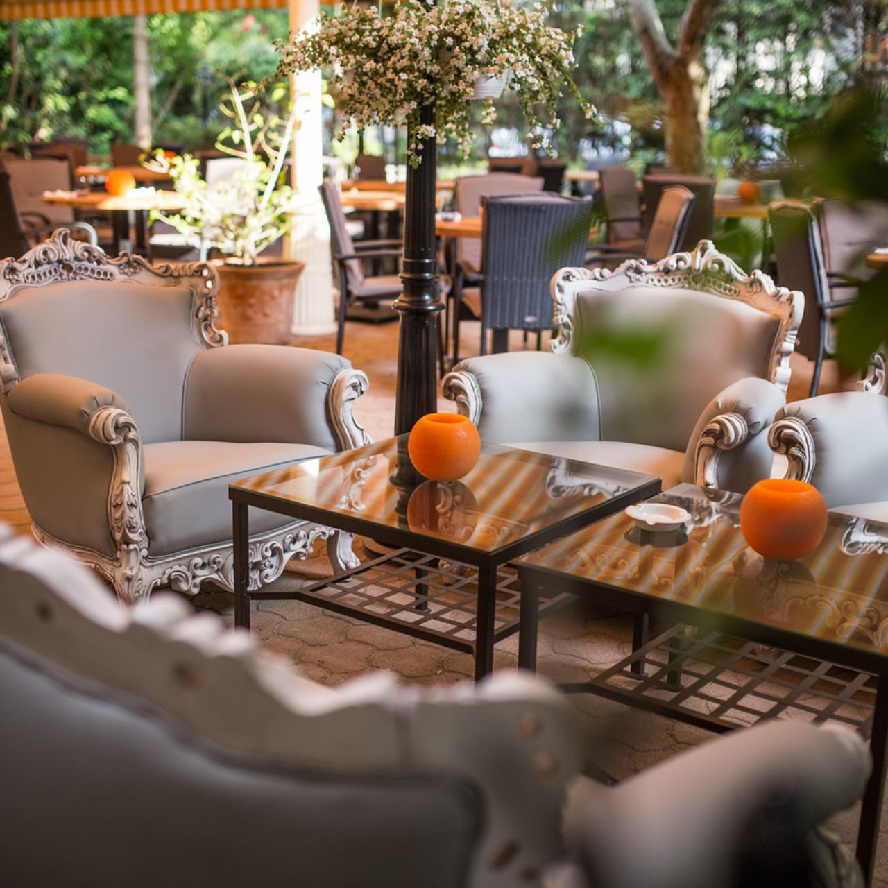 Vadrózsa Restaurant