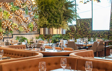 Porfirio's餐厅图片