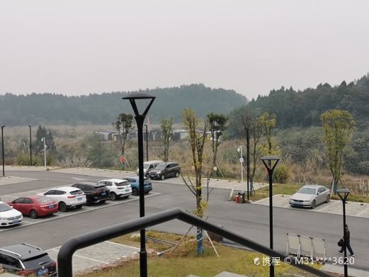 三鱼萌狮文化村