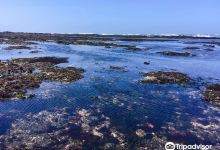 菲茨杰拉德海洋保护区景点图片