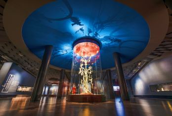 三星堆+乐山大佛一日游【2-8人独立小团+含门票+上门接送】【酒店上门接送+5-9座车品质出行+服务质量保障+纯玩无购物】