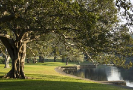 Moore Park景点图片