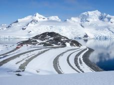 半月岛-南设得兰群岛