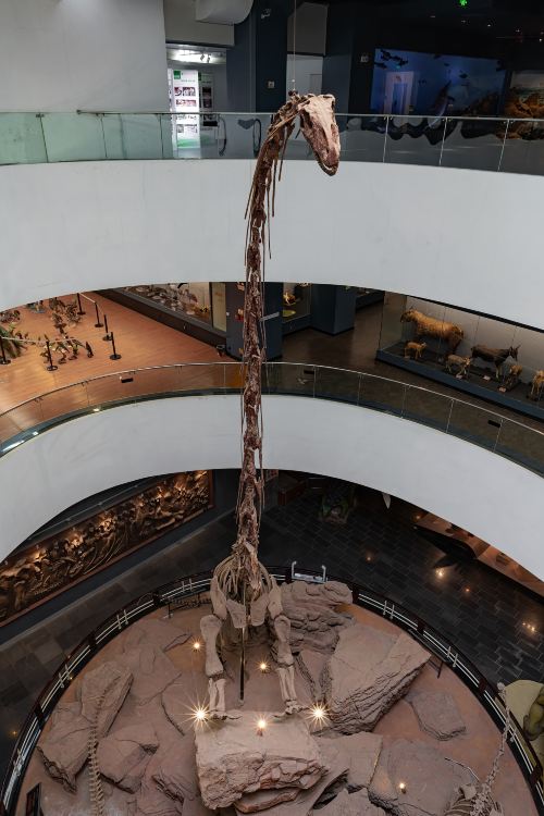 Gallery 1